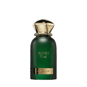 Parfum Ignite Oud Ahmed Al Maghribi